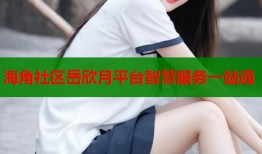海角社区岳欣月平台智慧服务一站通