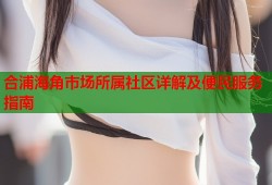合浦海角市场所属社区详解及便民服务指南
