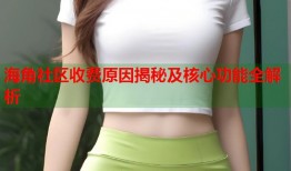 海角社区收费原因揭秘及核心功能全解析