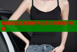 海角社区监管揭秘平台责任保障用户权益