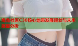 海角社区C30核心地带发展现状与未来展望分析