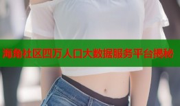 海角社区四万人口大数据服务平台揭秘