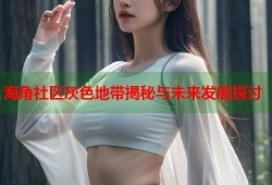 海角社区灰色地带揭秘与未来发展探讨