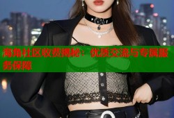 海角社区收费揭秘：优质交流与专属服务保障