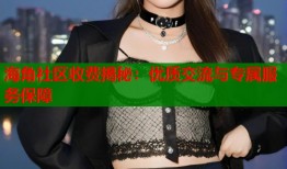 海角社区收费揭秘：优质交流与专属服务保障
