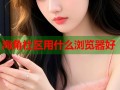 海角社区用什么浏览器好