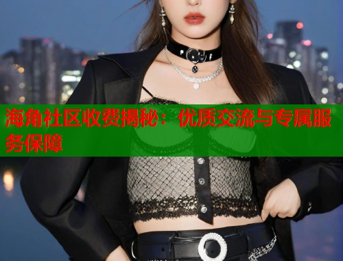 海角社区收费揭秘：优质交流与专属服务保障