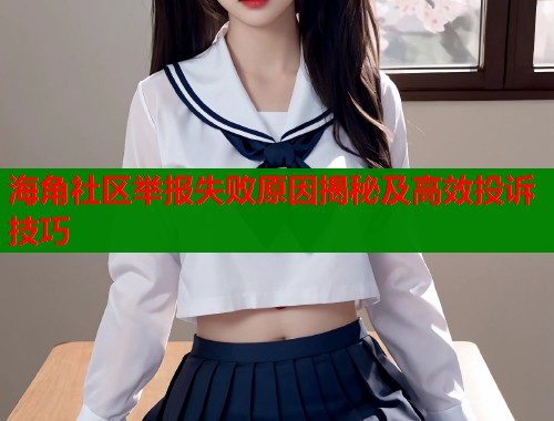 海角社区举报失败原因揭秘及高效投诉技巧