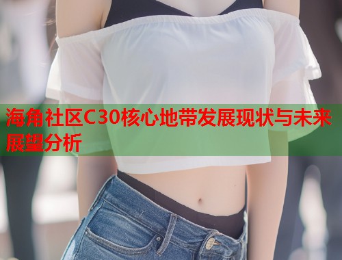 海角社区C30核心地带发展现状与未来展望分析