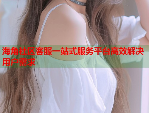 海角社区客服一站式服务平台高效解决用户需求