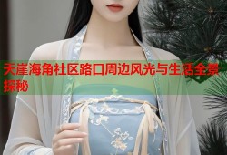 天崖海角社区路口周边风光与生活全景探秘