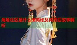 海角社区是什么梗揭秘及其背后故事解析