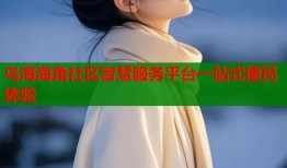 乌海海角社区智慧服务平台一站式便民体验